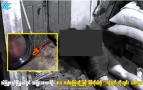 缅甸一男子接连捅自己14刀，自杀身亡