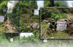 销毁近3000万比索大麻，数万株毒株被铲除