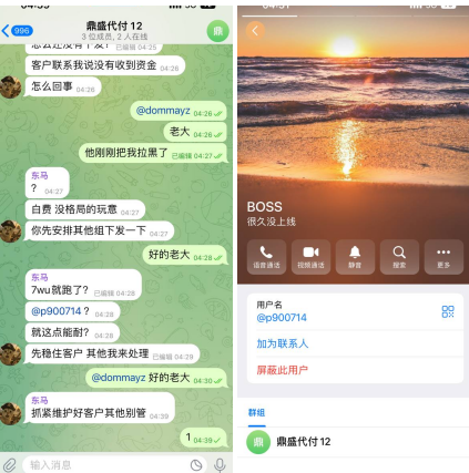 避雷这个骗子 公司，是做海外资金盘。的此人帮在公司帮公司代付，付多少都是空放给你