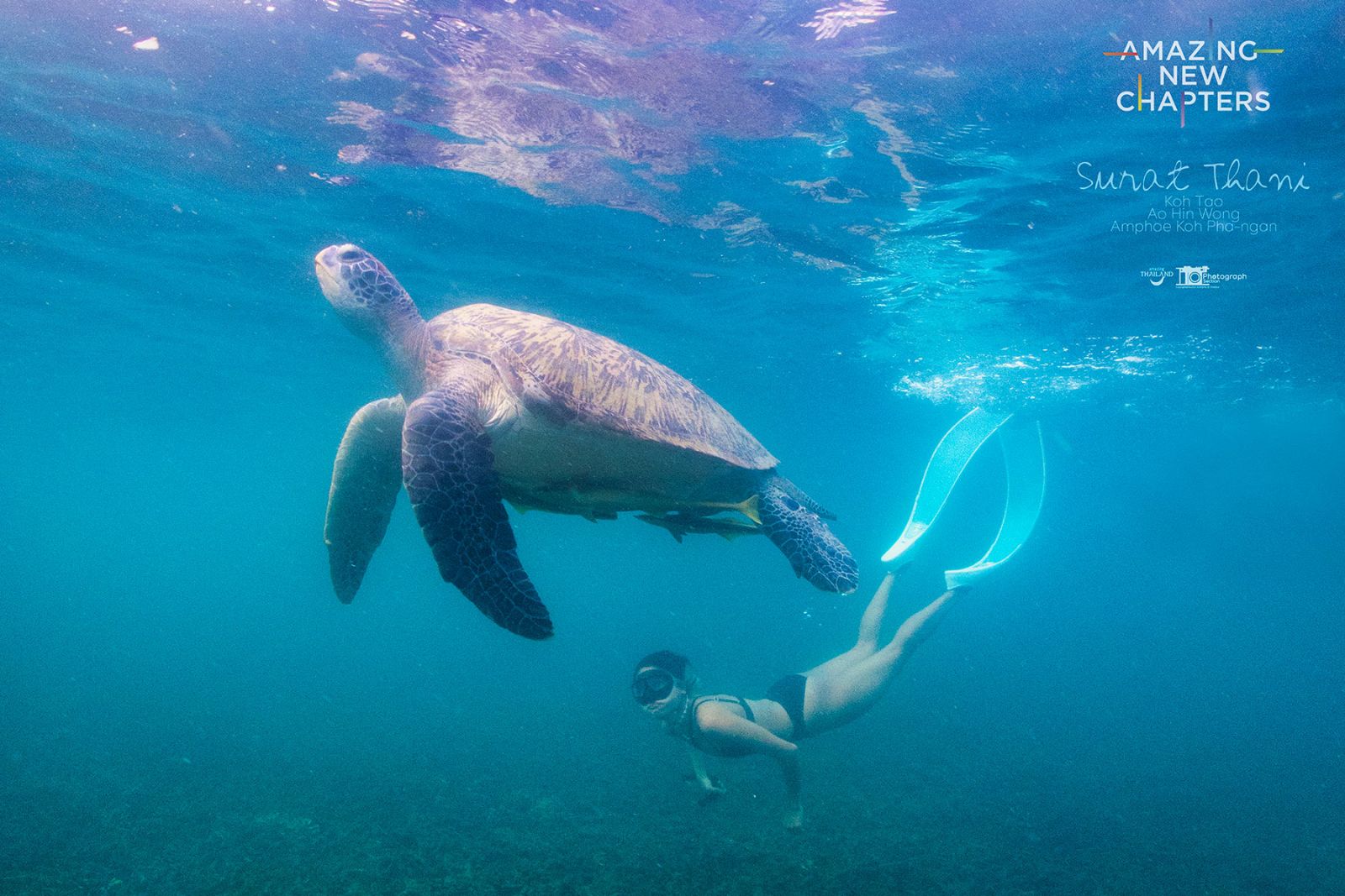 SuratThani - Koh Tao - Ao Hin Wong - Amphoe Koh Pha-Ngan.jpg