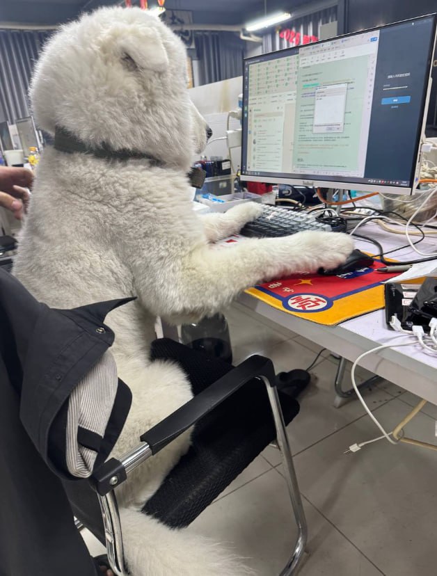 中国政府这边要求索奇督上校移交5000名中国诈骗人员