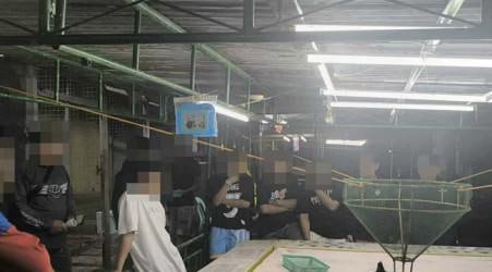 深夜突袭！布拉干11人因非法赌博被捕